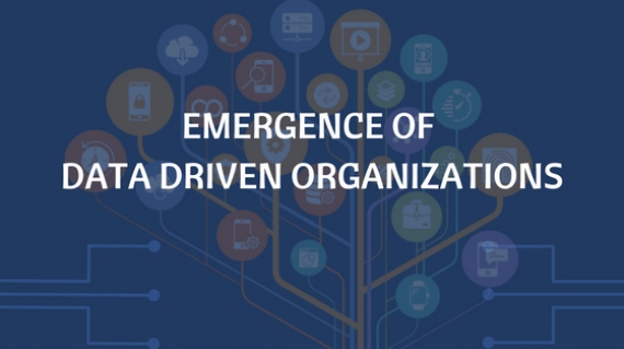 Emergence-of-Data-Driven-Organizations